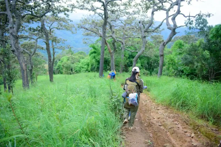 Aventure et outdoor : débuter le voyage au grand air