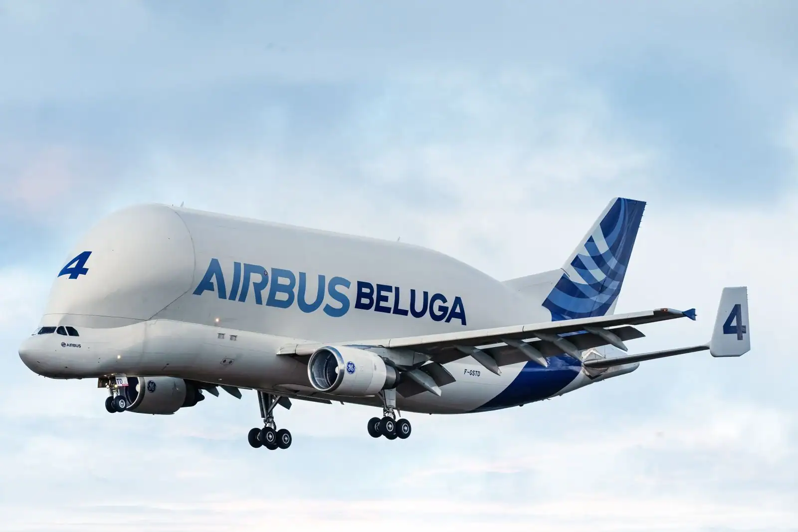 Airbus Beluga, avion-cargo à la silhouette de baleine, en vol train d'atterrissage sorti
