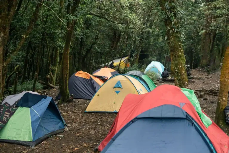 Camping Bel Air : trouver et choisir le bon établissement