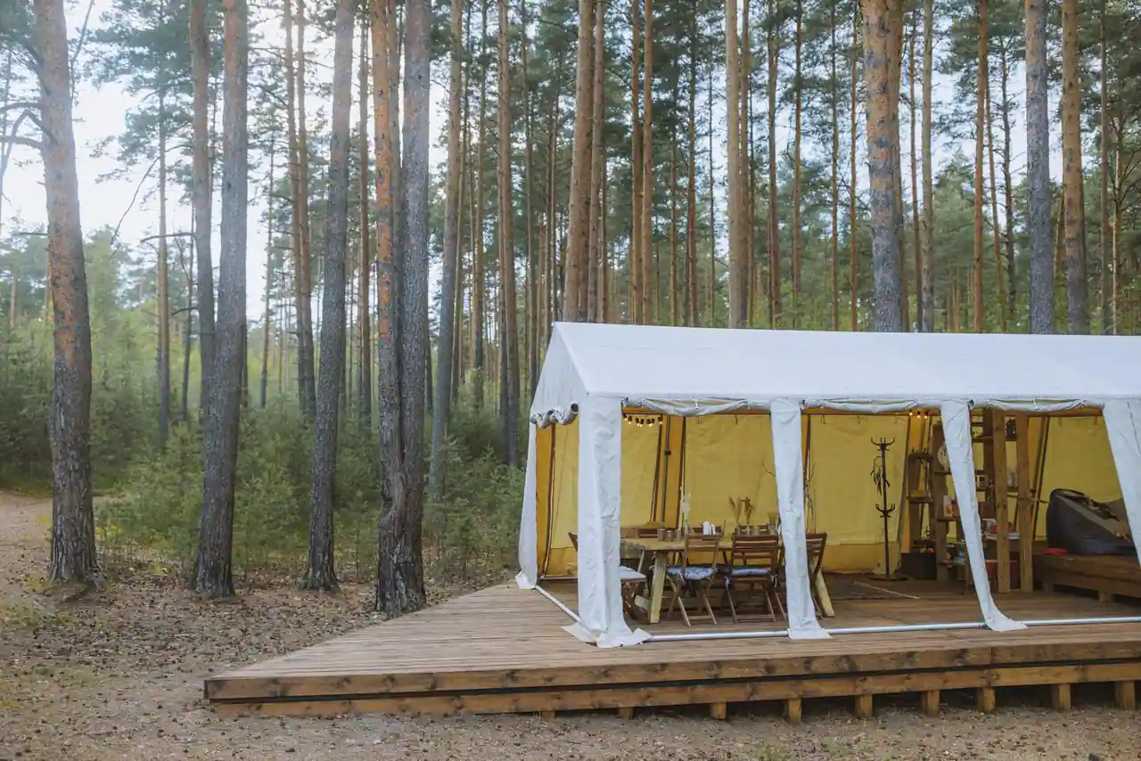 Grande tente toilée ouverte sur une terrasse en bois, installée en lisière d'une forêt de pins