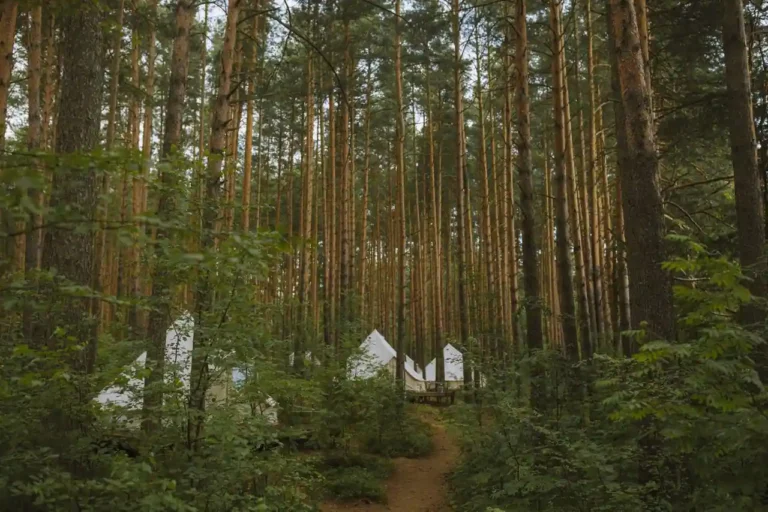 Camping à Montalivet : bien choisir son séjour sur la côte médocaine