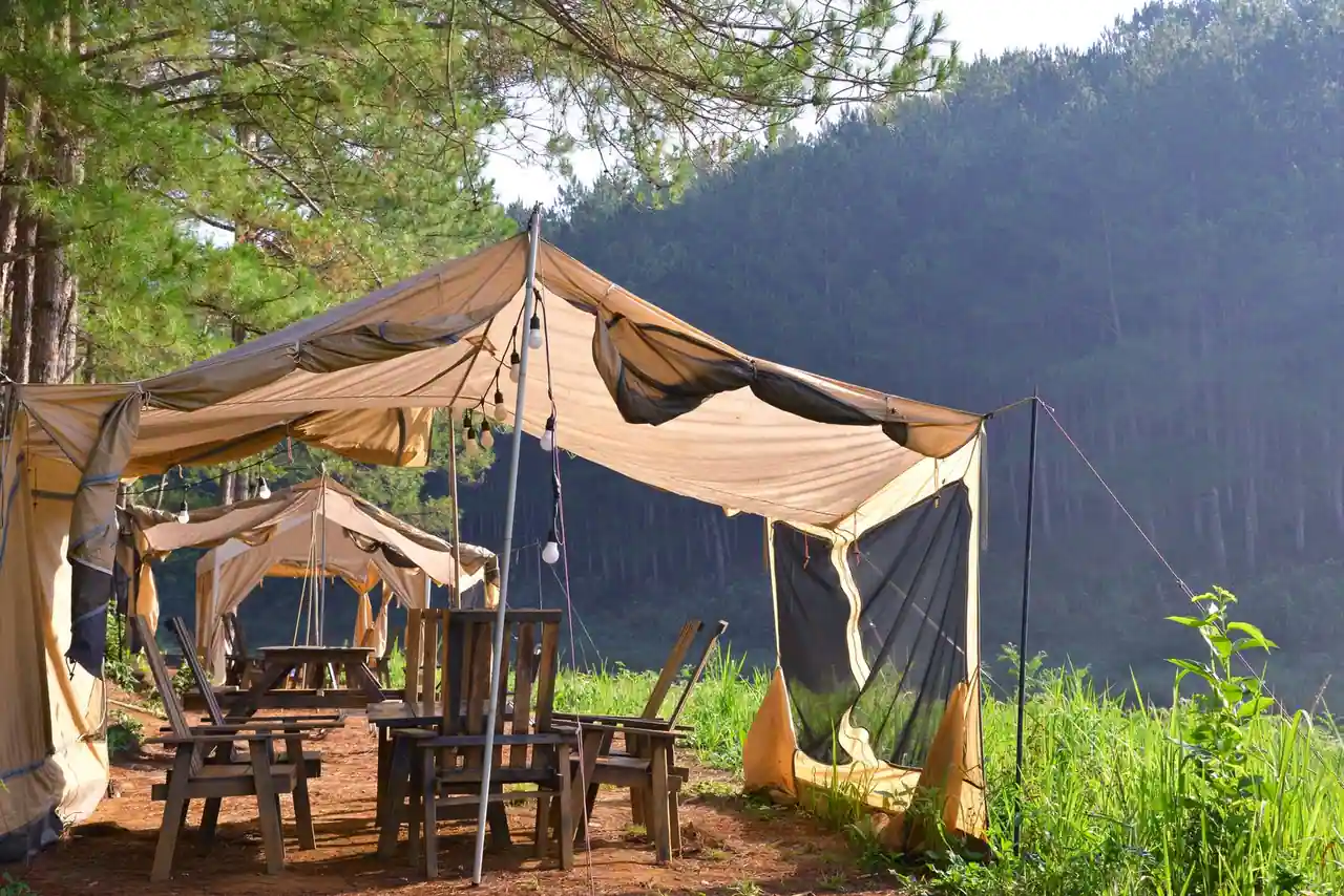 Tente de toile aménagée avec tables et chaises en bois, installée en lisière d'une forêt de pins