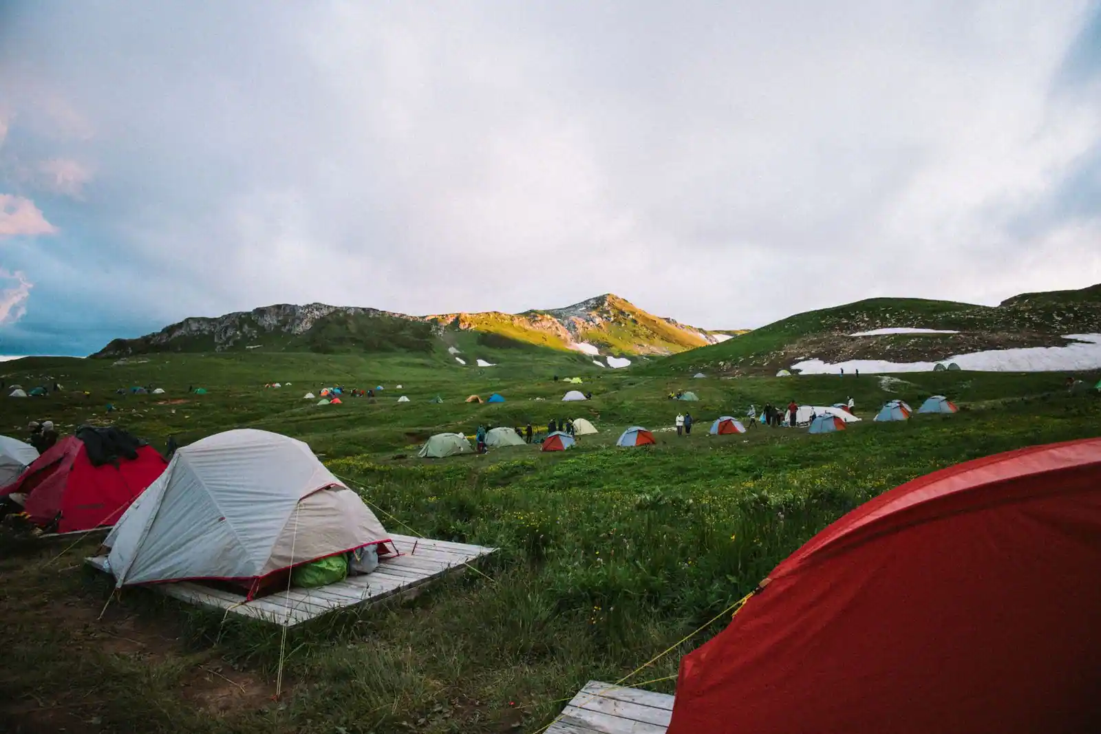 Tentes de camping installées sur une prairie verdoyante en pleine nature