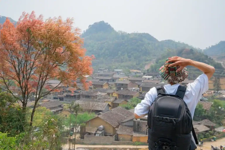 Films de voyage et d&rsquo;aventure : guide du genre