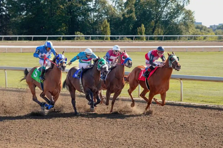 France Galop Pro : l&rsquo;espace professionnel des courses de galop