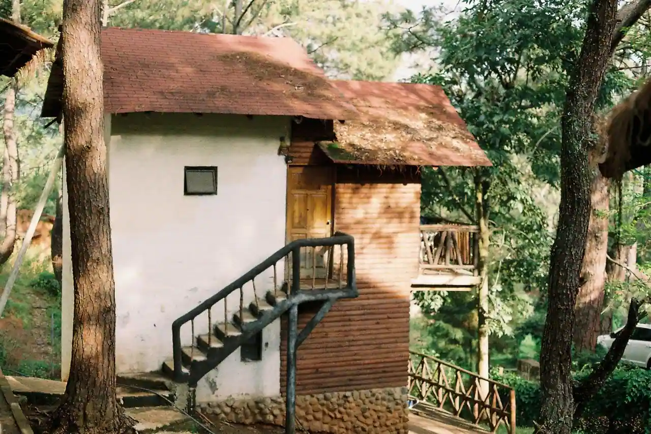 Petite cabane en bois entourée d'arbres en forêt, exemple d'hébergement insolite