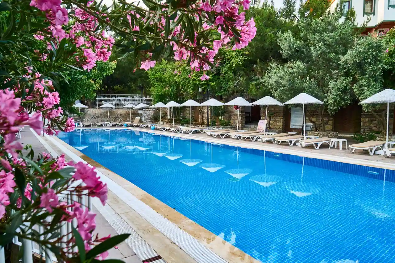 Piscine extérieure d'un hôtel de vacances bordée de transats et de parasols, fleurs roses au premier plan