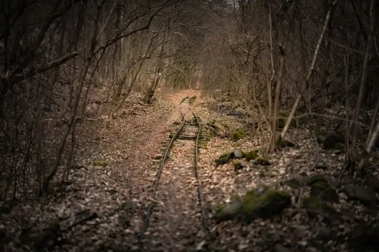 Train Dreams : le film de 2025, son histoire et où le voir
