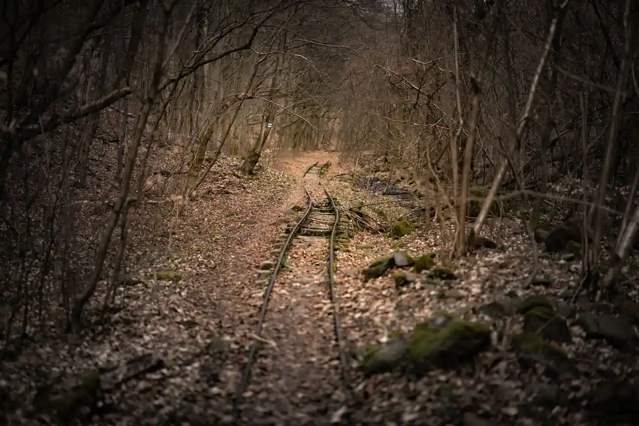 Ancienne voie ferrée traversant une forêt, évoquant l'univers du film Train Dreams