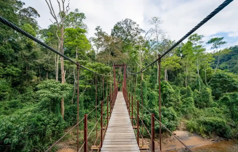 Voyage en famille au Costa Rica : un itinéraire réaliste