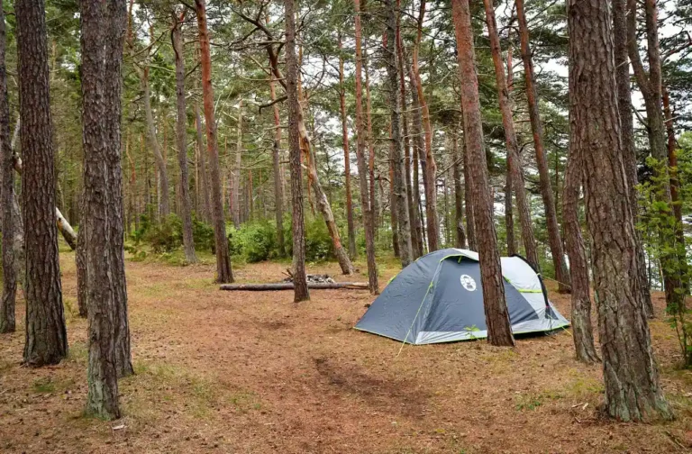 Camping à Noirmoutier : choisir son secteur avant son terrain