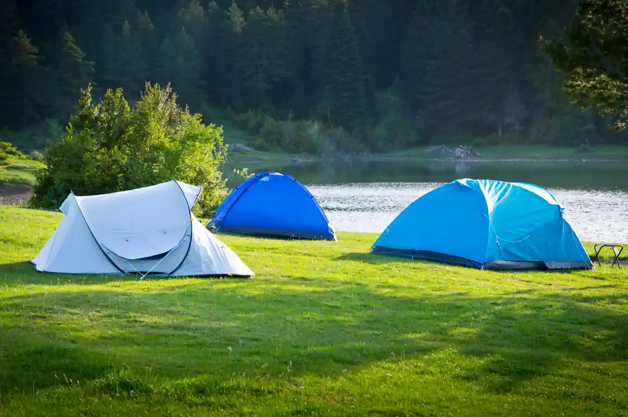Trois tentes montées sur une pelouse de camping au bord d'un lac, devant une forêt de conifères.