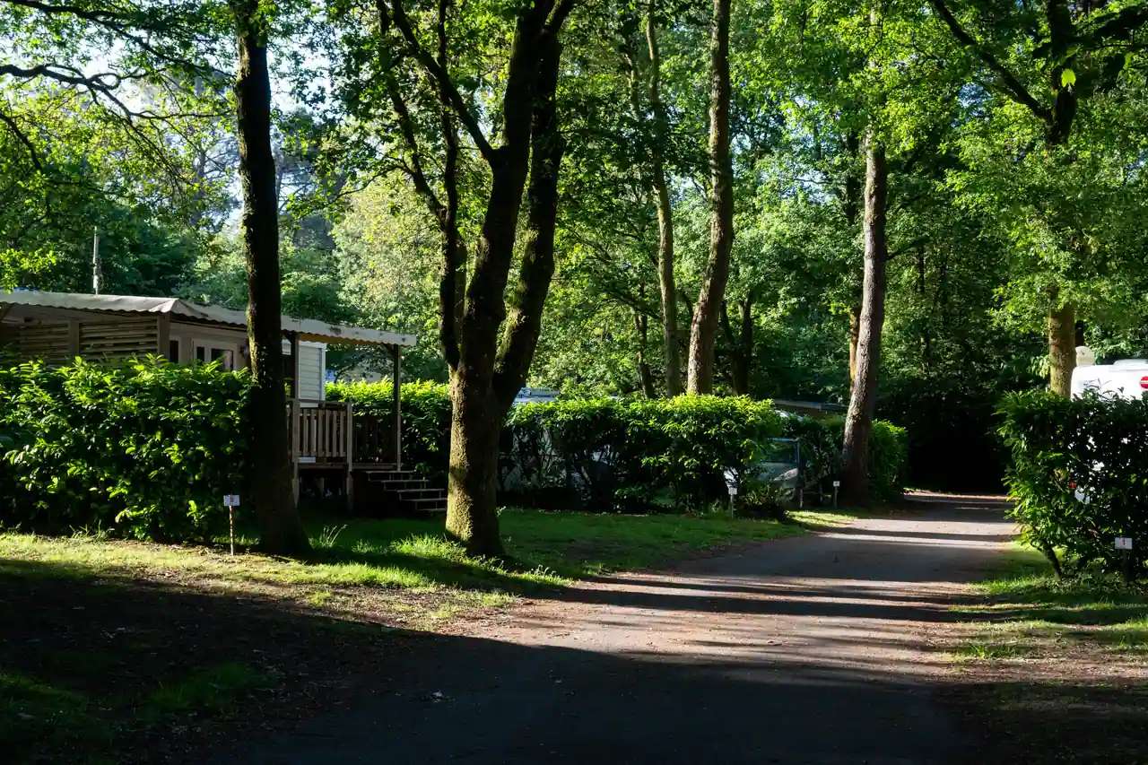 Emplacements numérotés séparés par des haies dans un camping boisé, avec un mobil-home et son auvent