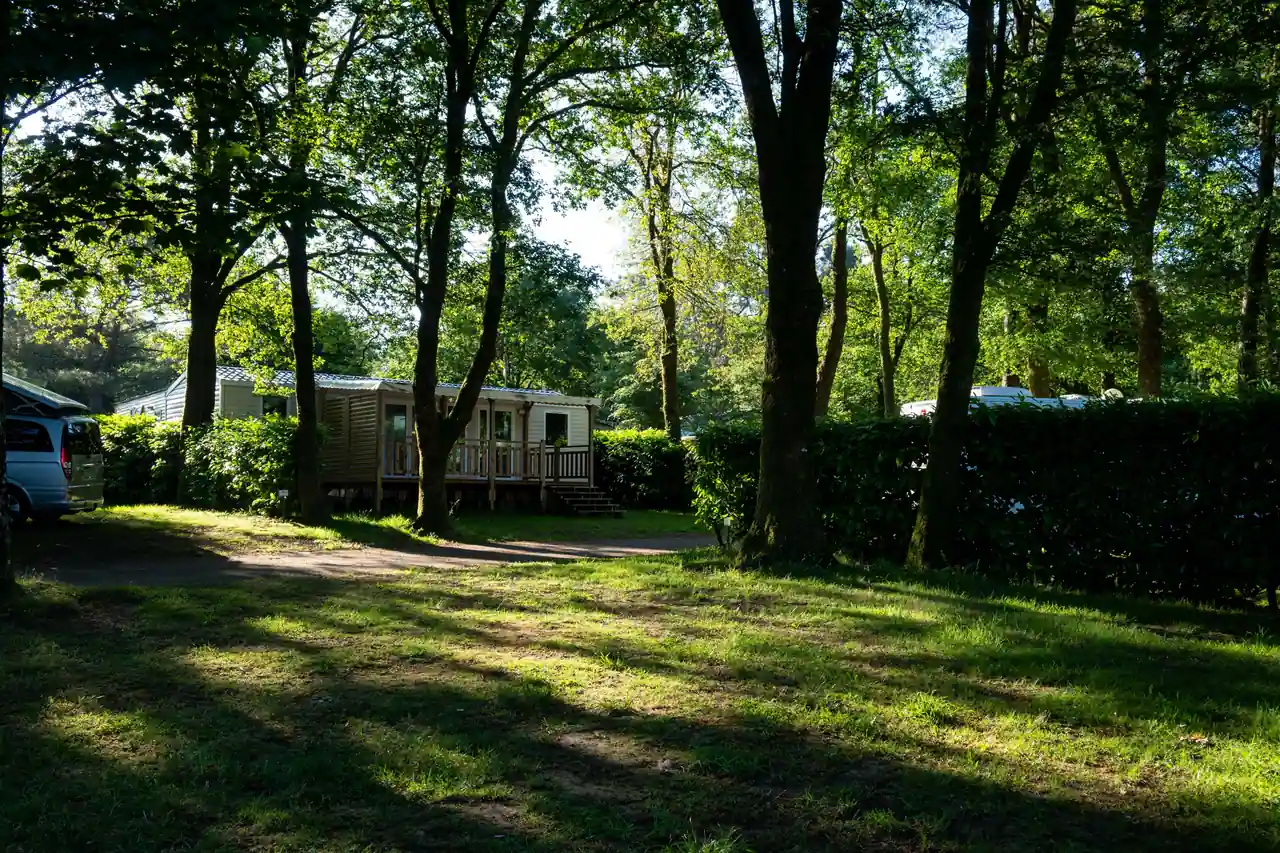 Mobil-home avec terrasse en bois sur un emplacement ombragé de camping, allée et haies alentour.