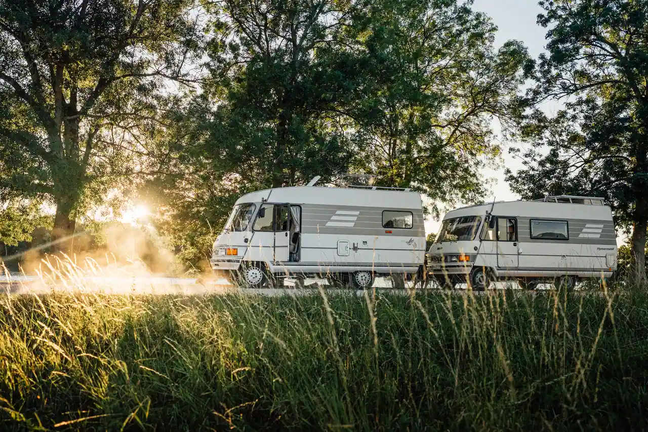 Deux camping-cars garés au bord d’un pré bordé de grands arbres, dans la lumière rasante du matin