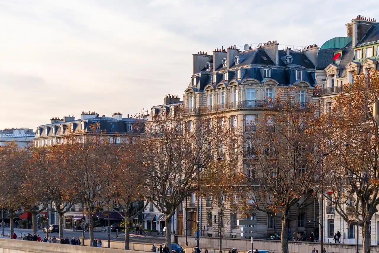 Façades haussmanniennes parisiennes et rangée de platanes en automne, le long d'une avenue.