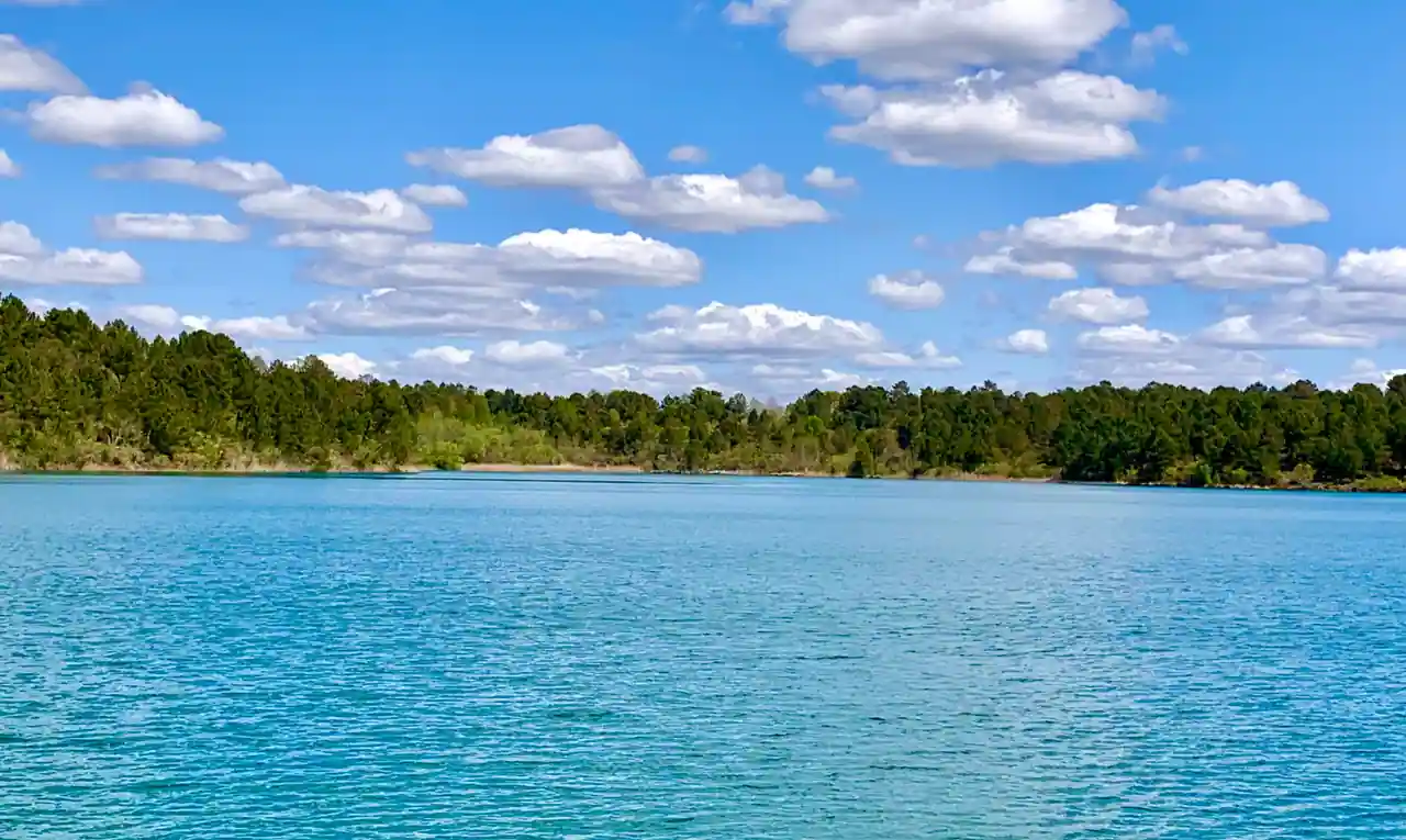Étang landais bordé de pins près de Biscarrosse, dans les Landes, en Nouvelle-Aquitaine.